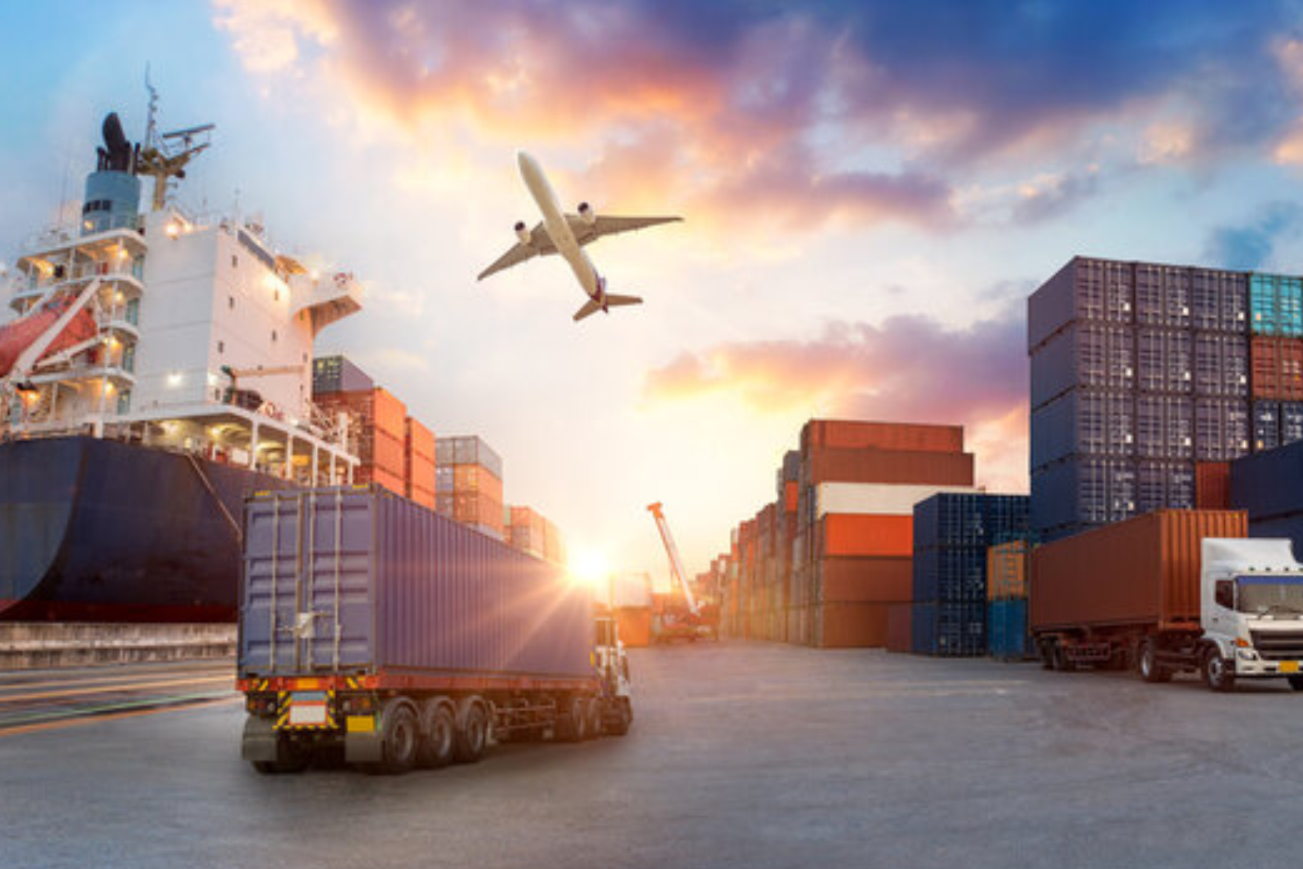 SJT Export and Import