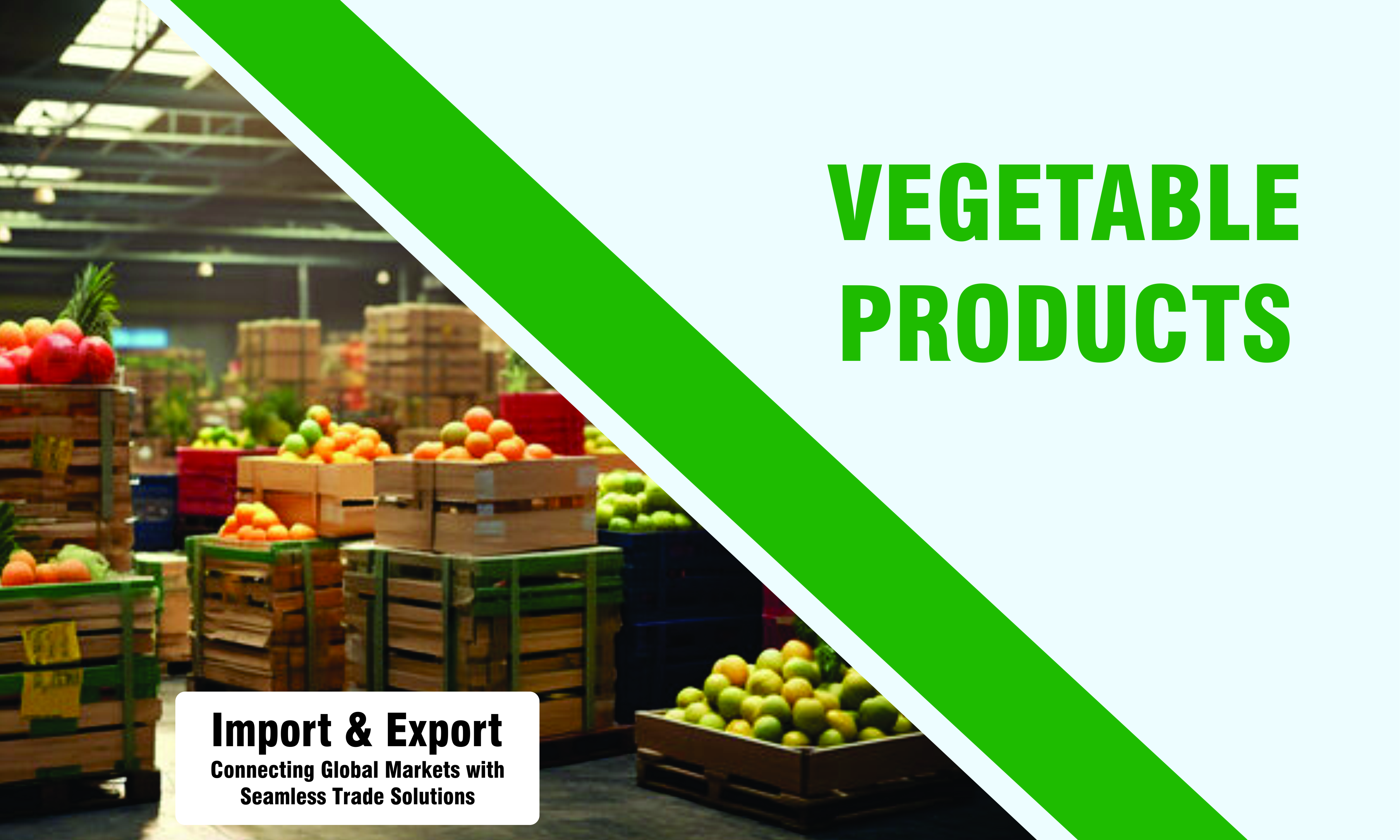 RJN Export and Import